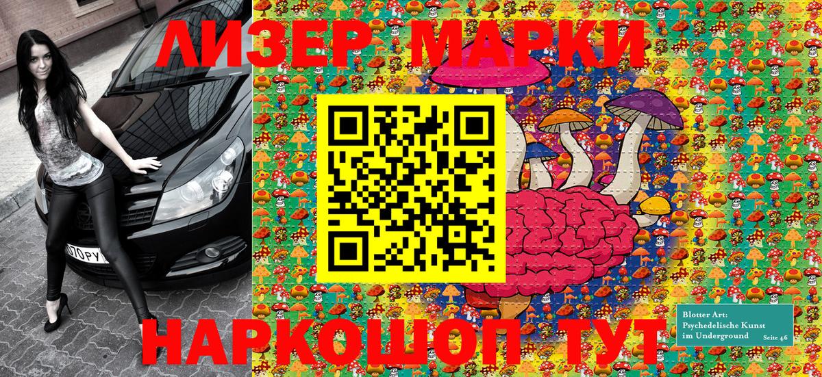 Дятьково  как найти закладки  Вход с VPN  Марки N-bome 1500мкг 