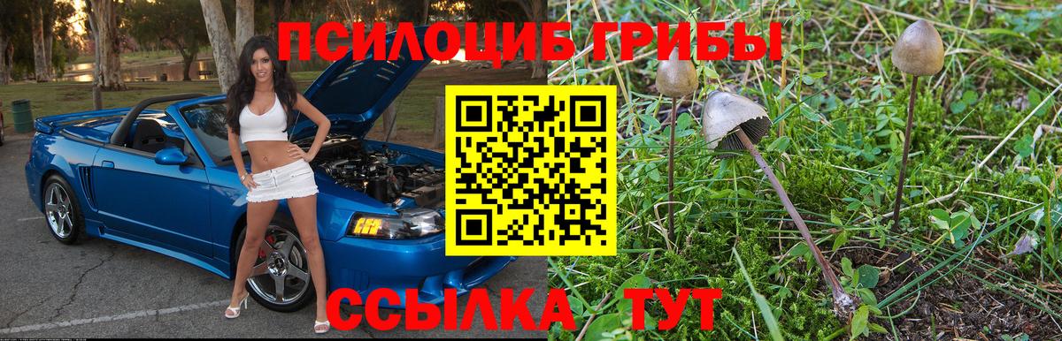 Дятьково  Галлюциногенные грибы GOLDEN TEACHER  Вход с VPN 