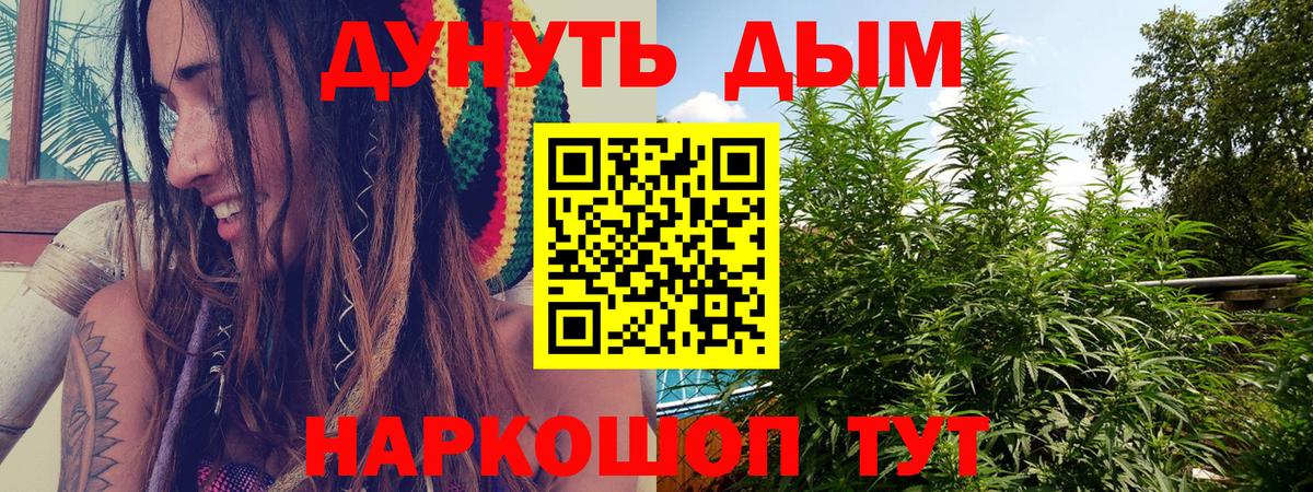 Марихуана Bruce Banner  Канабис тримм  Вход с VPN  Дятьково  Бошки марихуана гибрид 